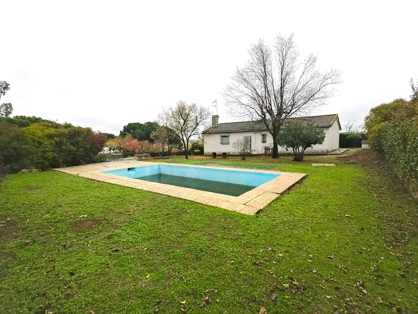 Piscina de Casa o chalet en venta en Las Ventas de Retamosa con Jardín privado y Piscina