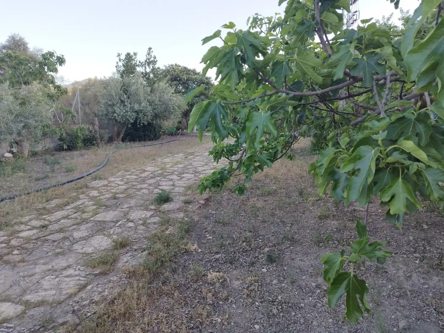 Country homes for rent in Antequera  with Private garden and Furnished