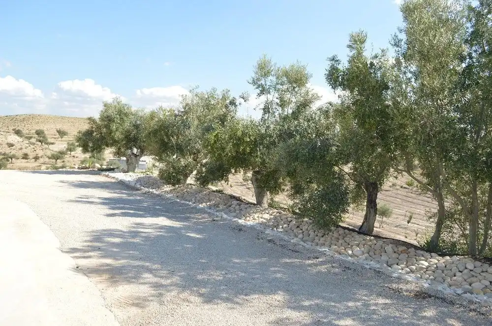 Residential zum Verkauf in Las Torres de Cotillas