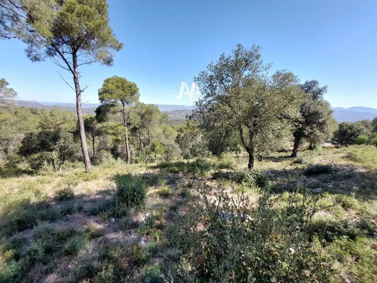 Terreny residencial en venda a FRANCESC COMBÓ, imagen 7