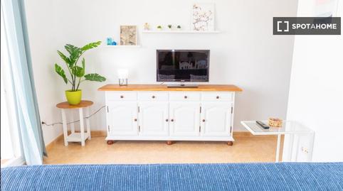 Photo 3 of Apartment to share in Barbate ciudad, Cádiz