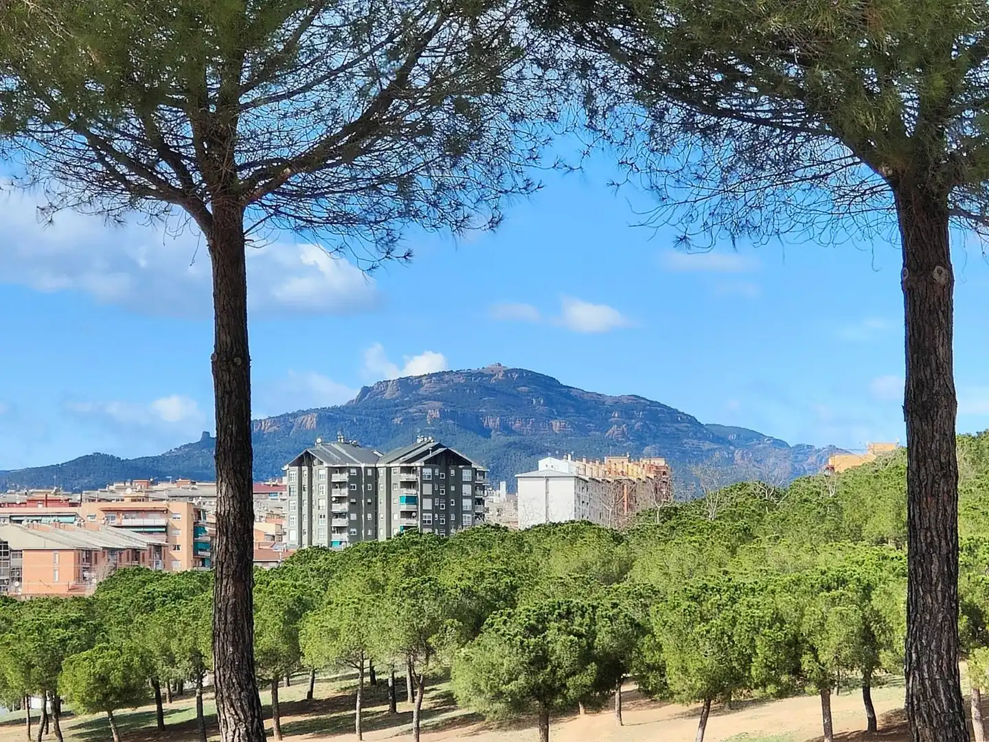 Exterior view of Flat for sale in Sabadell