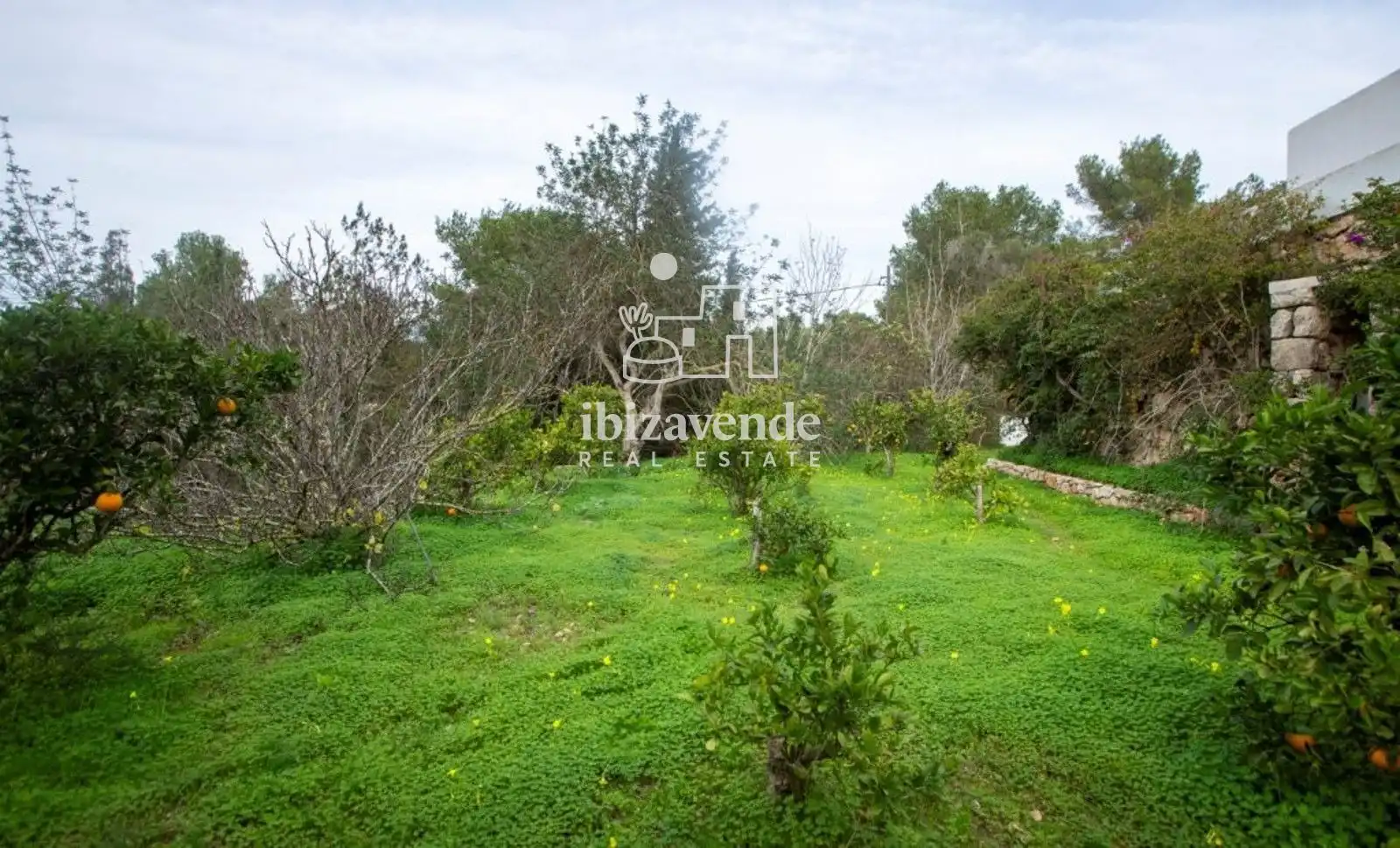 Casa amb piscina en venda a Santa Eulali, imagen 35