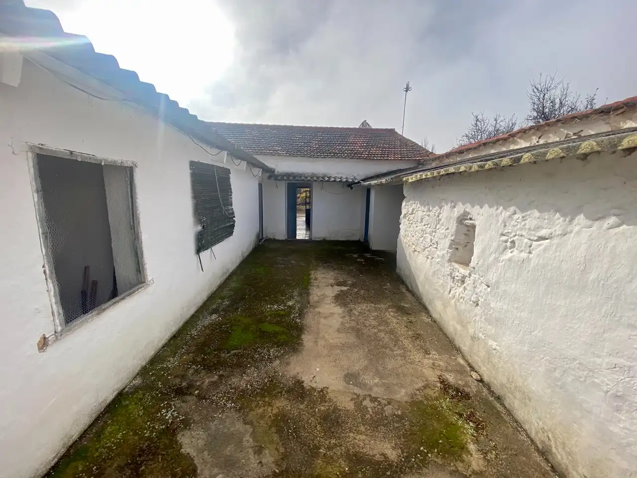 Vista exterior de Casa o chalet en venta en Ciudad Real con Jardín privado, Piscina y Amueblado