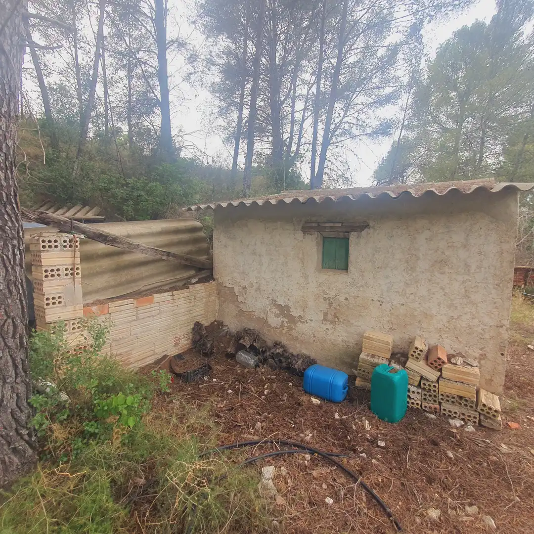 Terreno rústico en venta en Benifallet, imagen 23