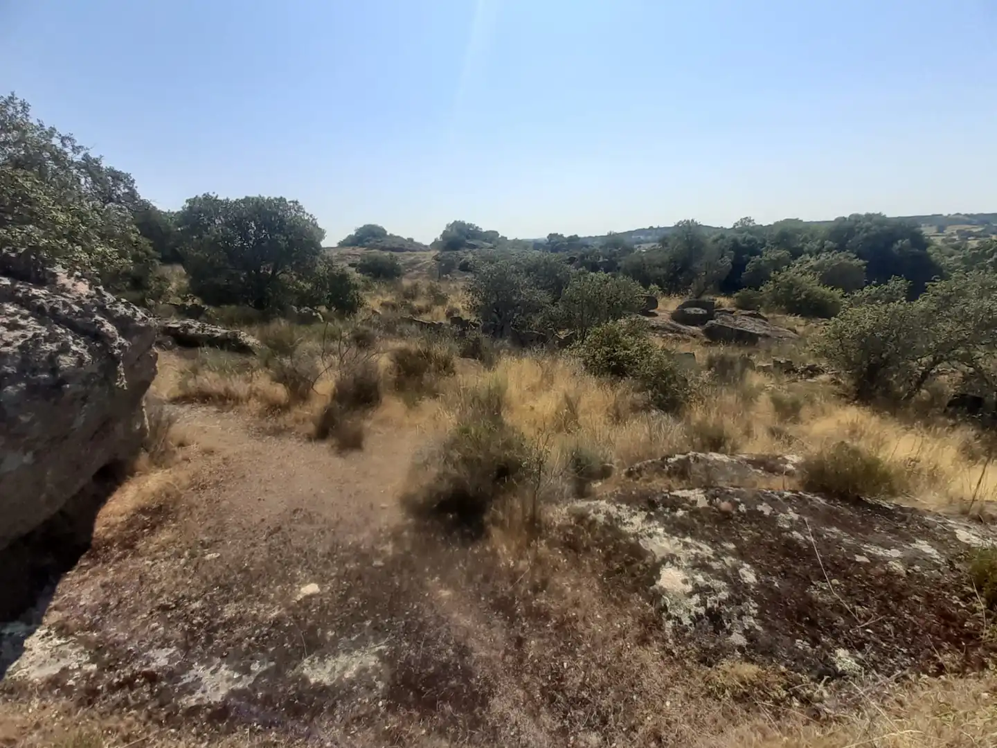 Land for sale in Almeida de Sayago
