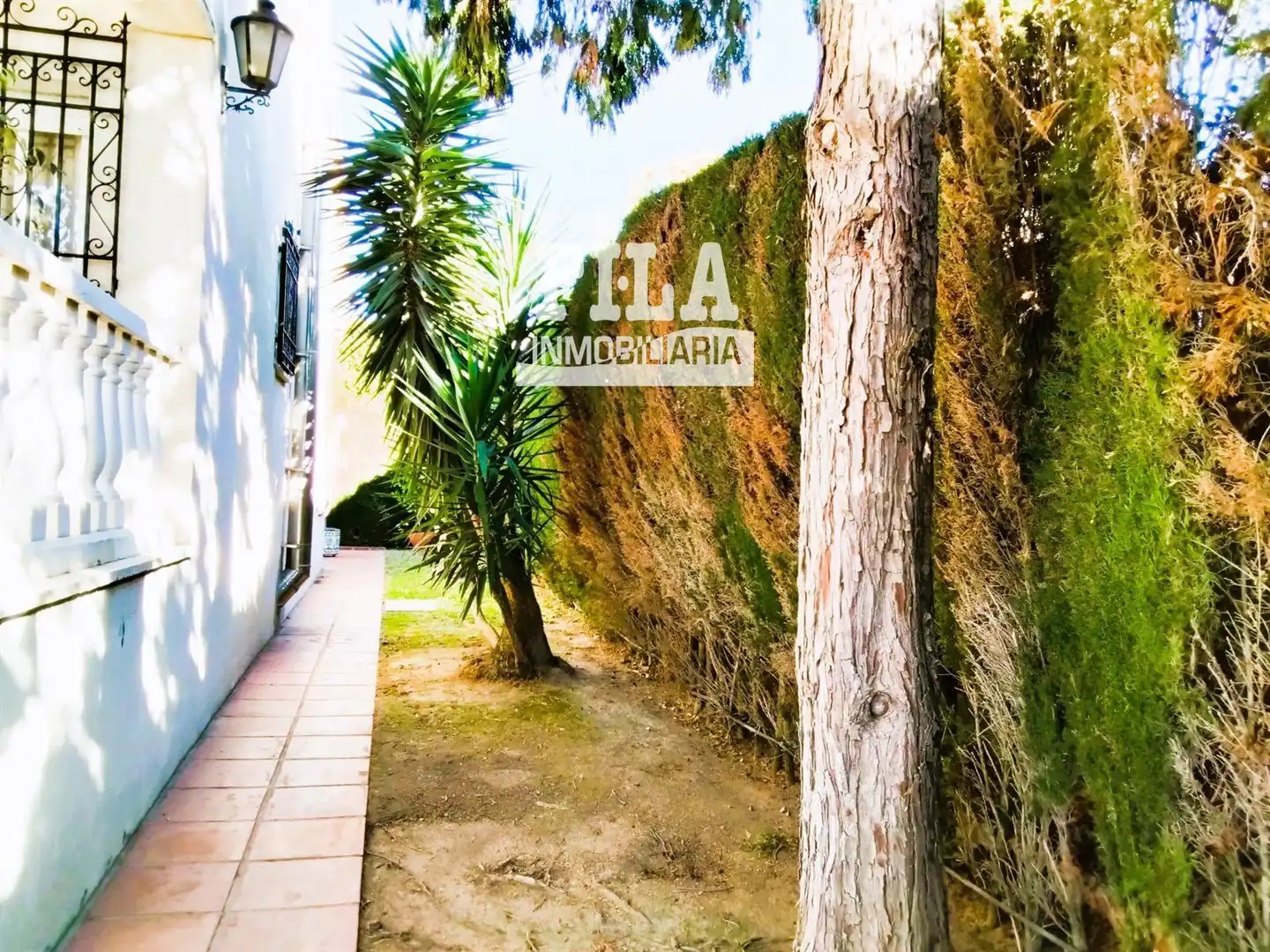 Villa avec piscine à vendre à Bonavista, imagen 64