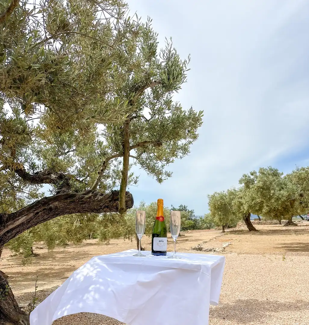Villa mit Terrasse zum Verkauf in COLL DE L'ALBA 43517 TORTOSA (TARRAGONA), imagen 23