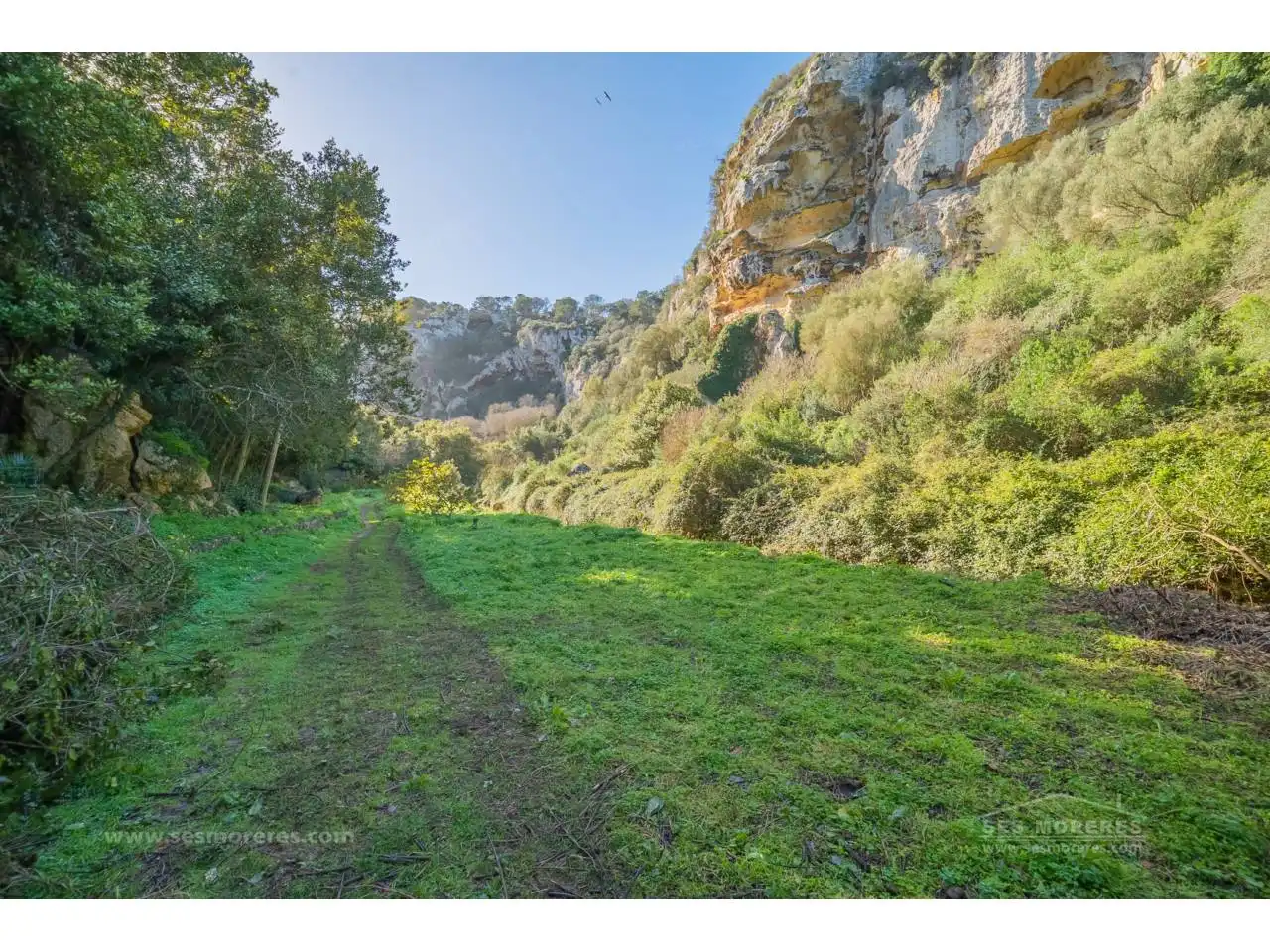 Terreny rústic en venda a Ciutadella, imagen 8