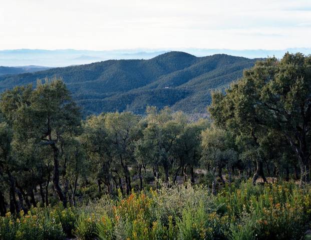 Finca rústica en Venta en Vial Camino en Corçà