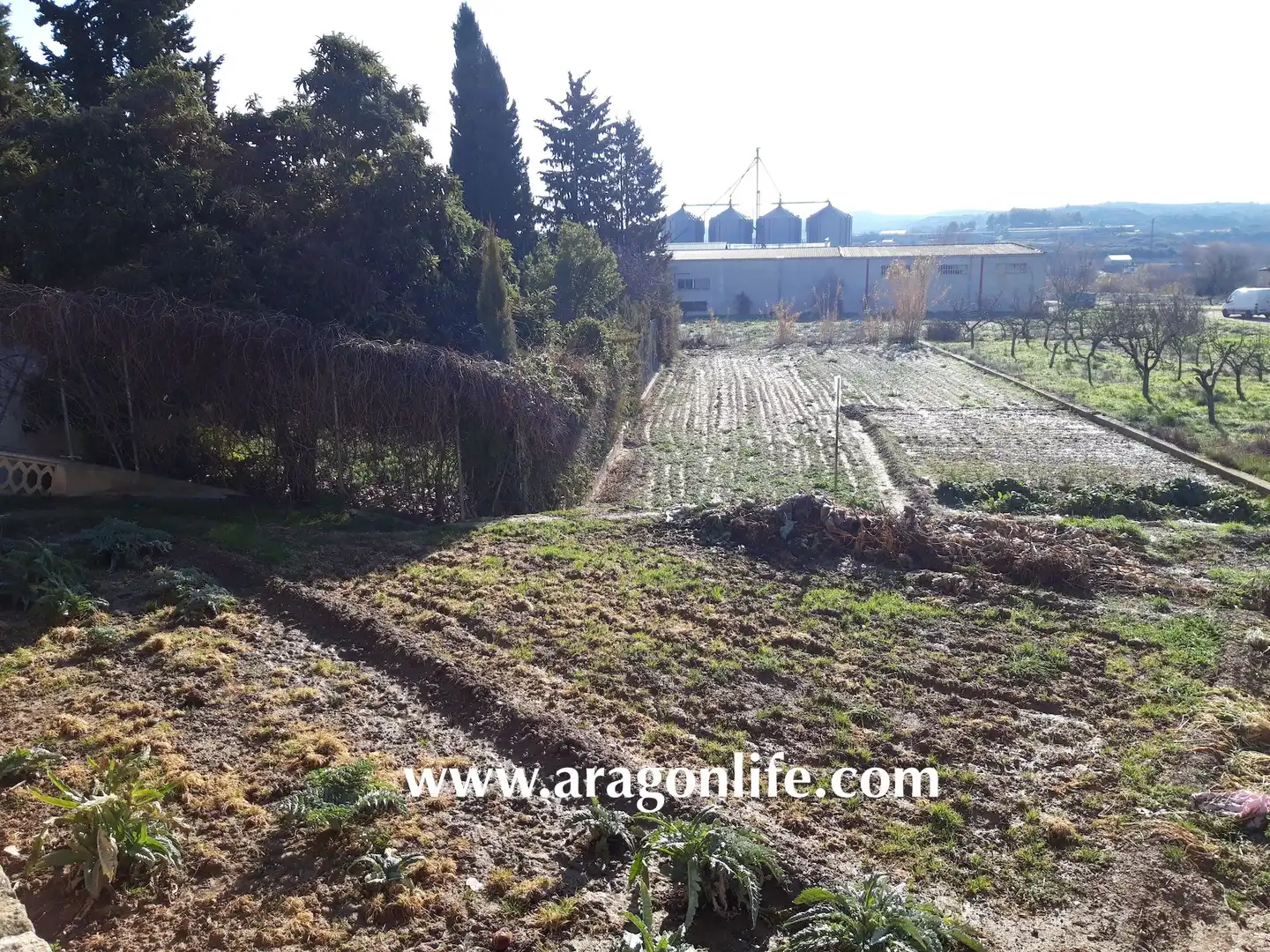Terreno residenziale in vendita a Maella, imagen 9
