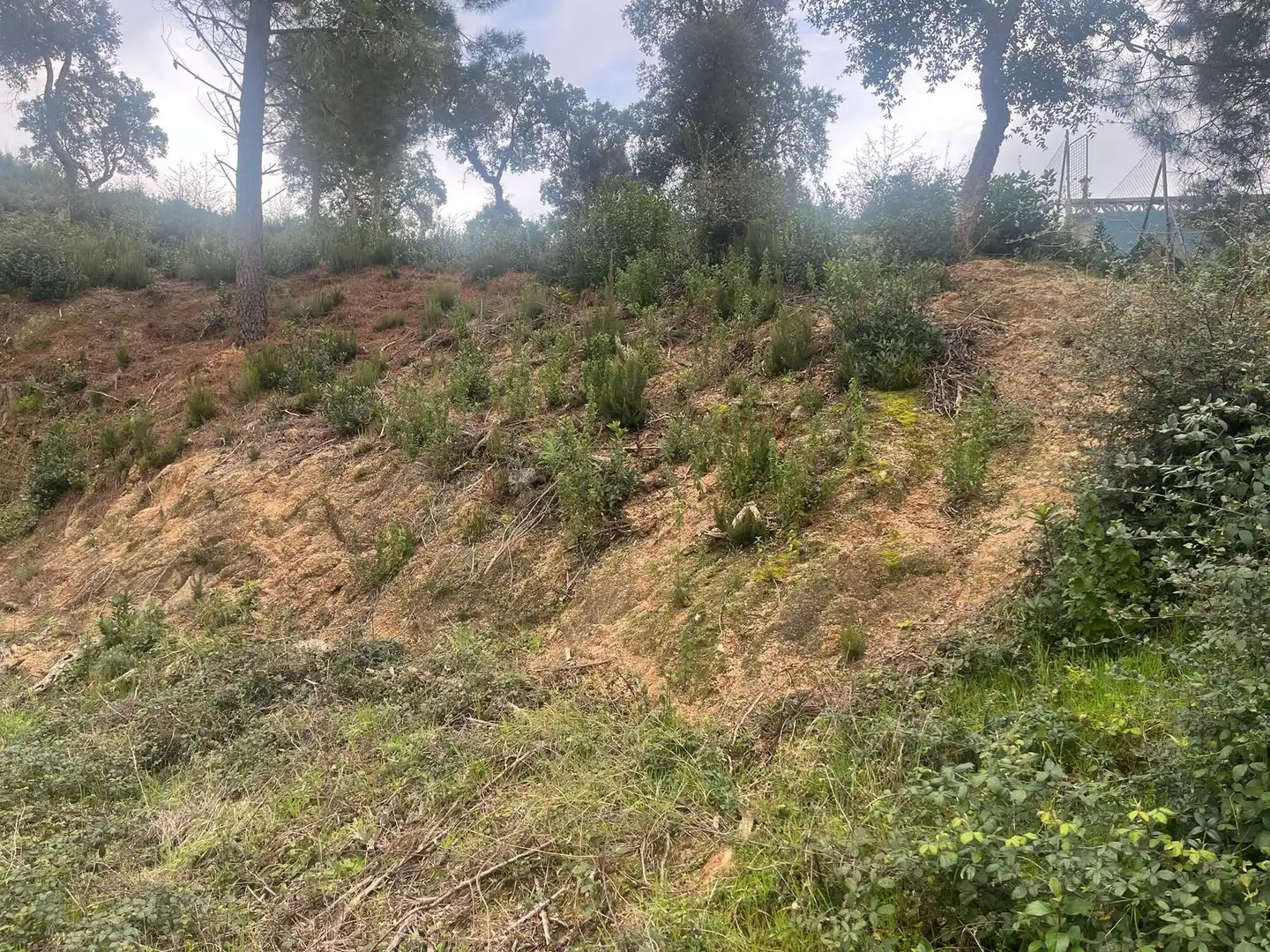 Residential land for sale in Lloret Residencial - Montlloret, imagen 3