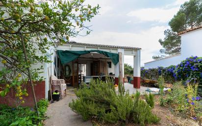 Jardí de Casa o xalet en venda en Palma de Gandia amb Aire condicionat, Terrassa i Piscina