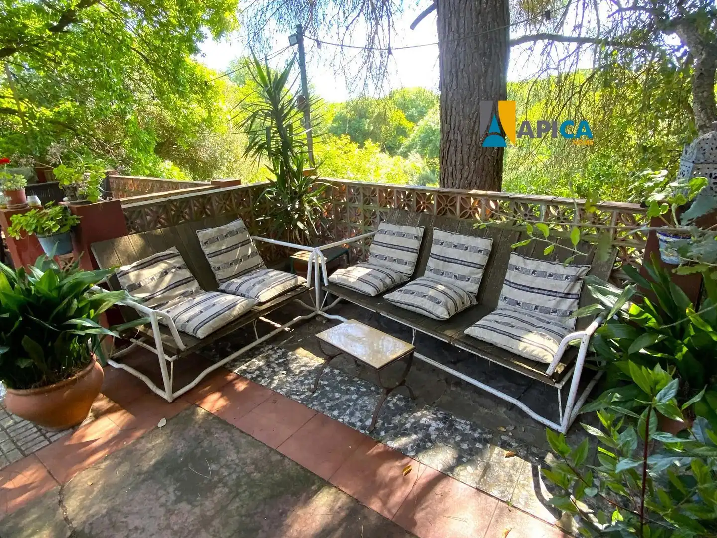 Rural land for sale in Castellar de la Frontera, imagen 17