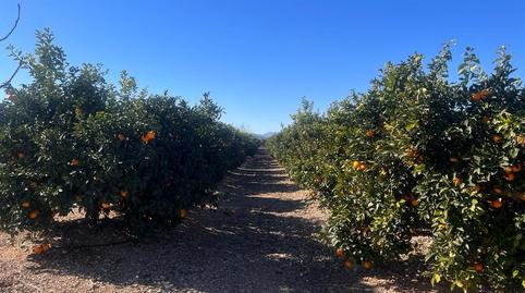 Photo 4 of Country house for sale