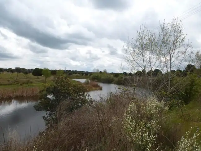 Land for sale in Talavera de la Reina