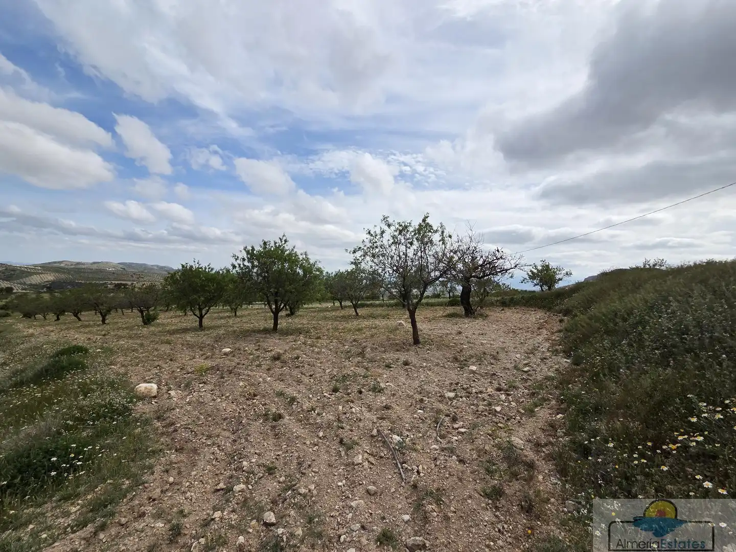 Terrenys i solars en venda a Albox, imagen 13