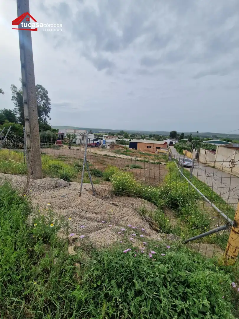 Grundstücke und Bauplätze zum Verkauf in Periurbano Este - Campiña, imagen 3