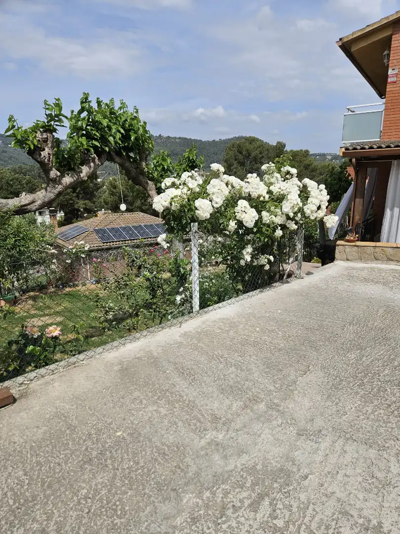 Jardí de Casa o xalet en venda en Cervelló amb Aire condicionat, Calefacció i Jardí privat