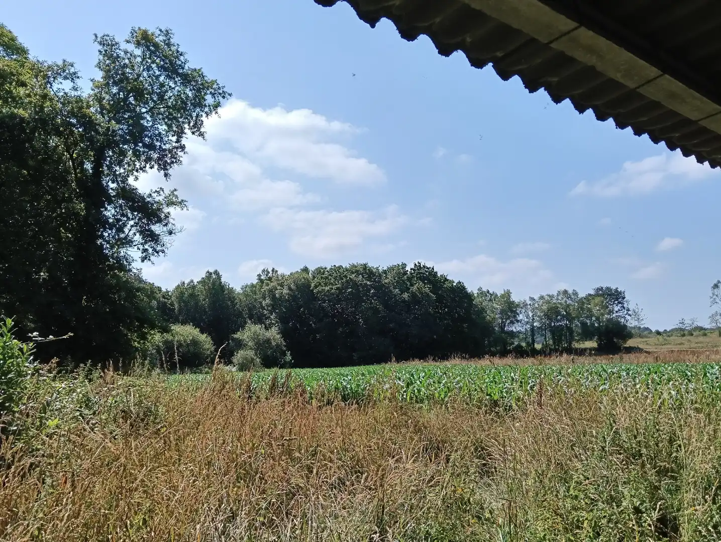 House with garden for sale in Curtis, imagen 11