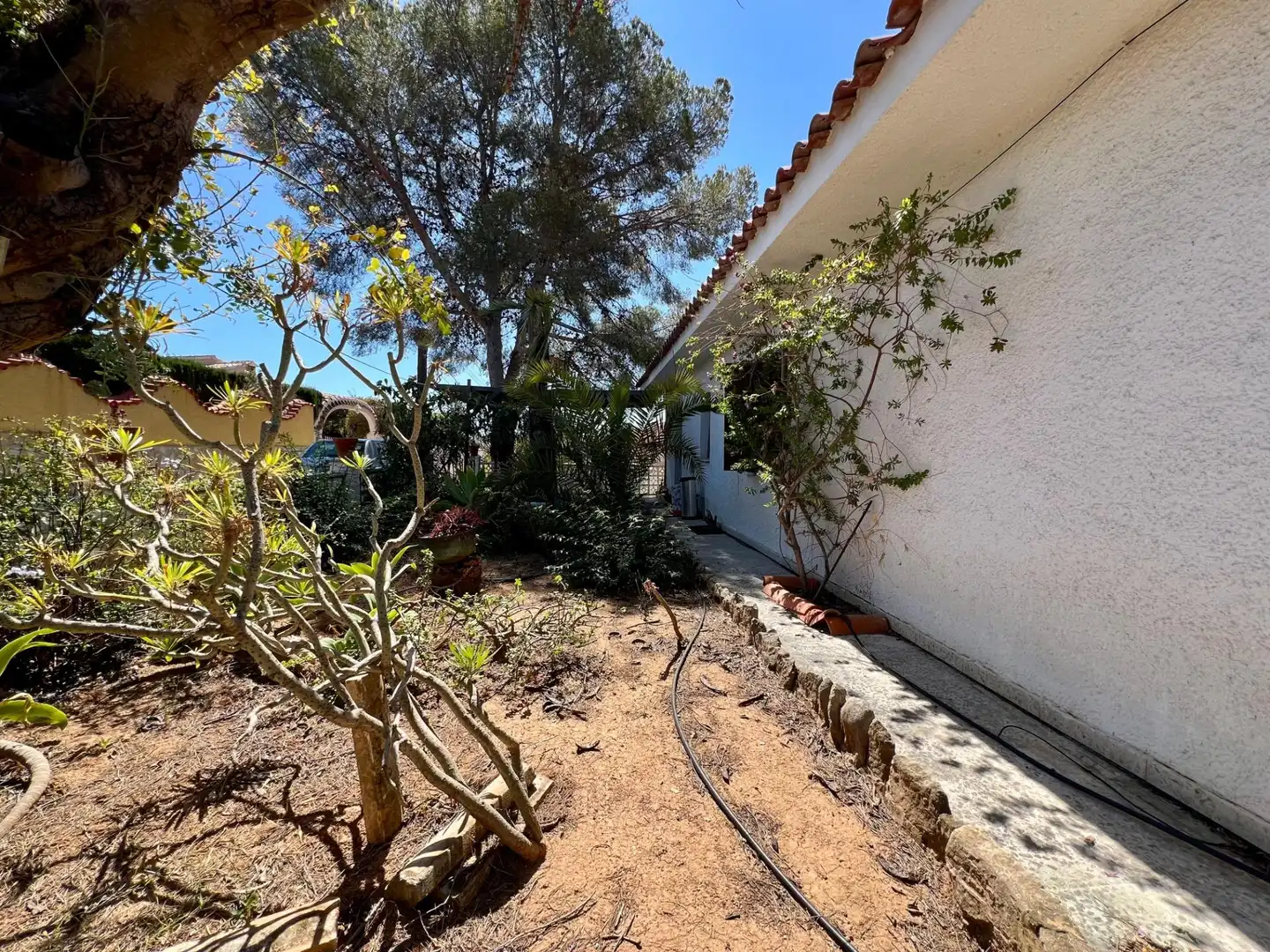 Jardín de Casa o chalet en venta en La Nucia con Aire acondicionado, Terraza y Amueblado