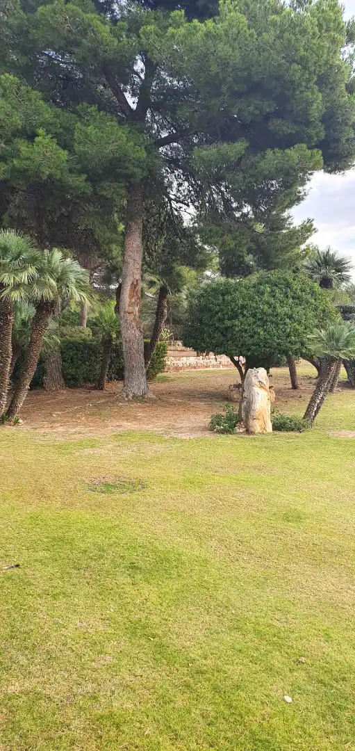 Jardí de Casa o xalet en venda en El Vendrell amb Aire condicionat, Jardí privat i Terrassa