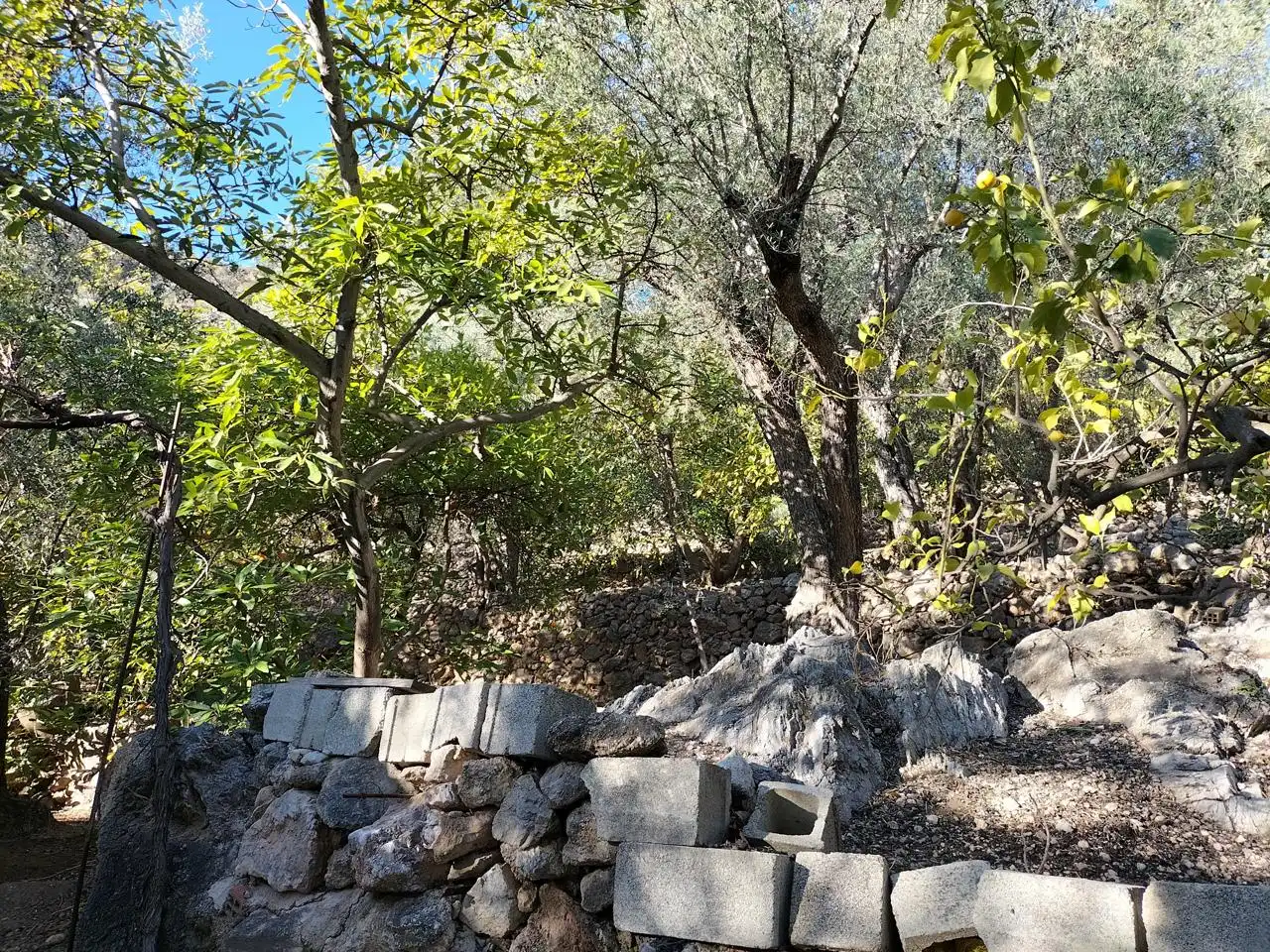 Finca rústica en venda en El Pinar