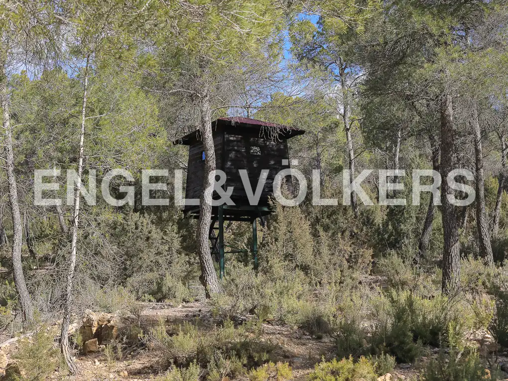 Finca rústica en venda en Ayora amb Calefacció, Jardí privat i Terrassa