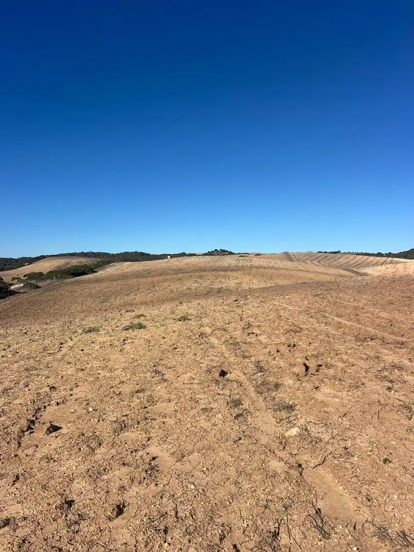 Terreny rústic en venda a Medina Sidonia, imagen 8