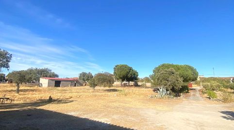 Foto 2 de Finca rústica en venda a Este, Mérida