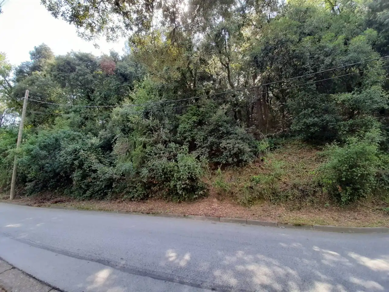 Terreny rústic en venda a Calle Cova del  Drac, imagen 3