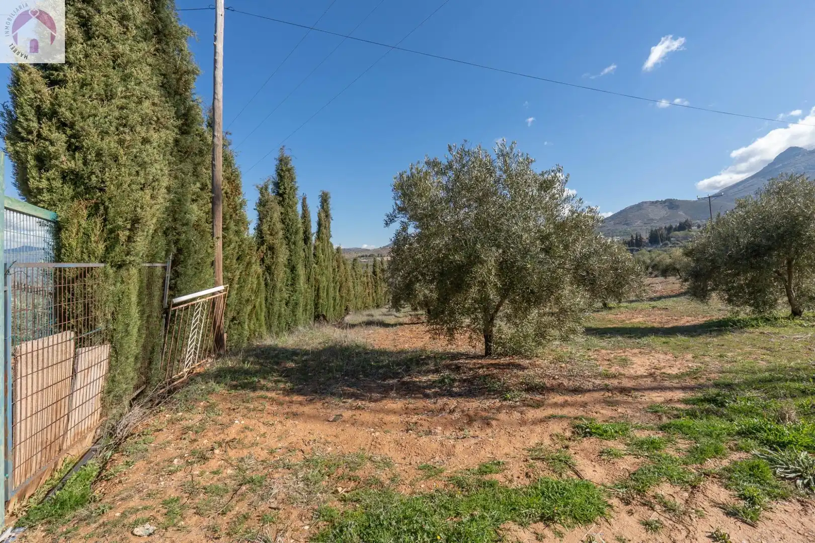 Terreni e lotti in vendita a Cogollos de la Vega, imagen 18