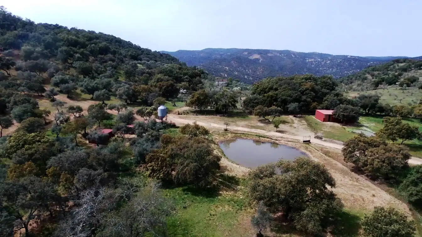 Terrenos y solares en venta en Extramuros Diseminados 5, imagen 3