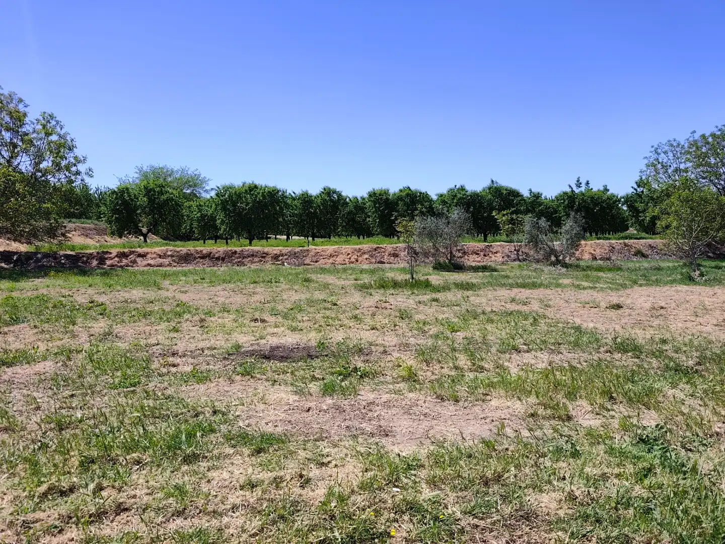 Land for sale in Juneda