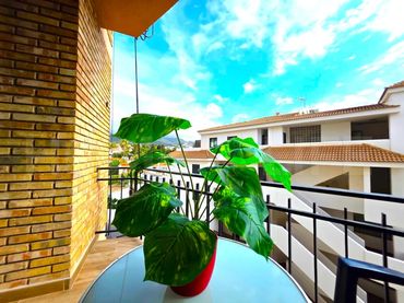 Studio mit Pool zum Verkauf in Calle Flamingo