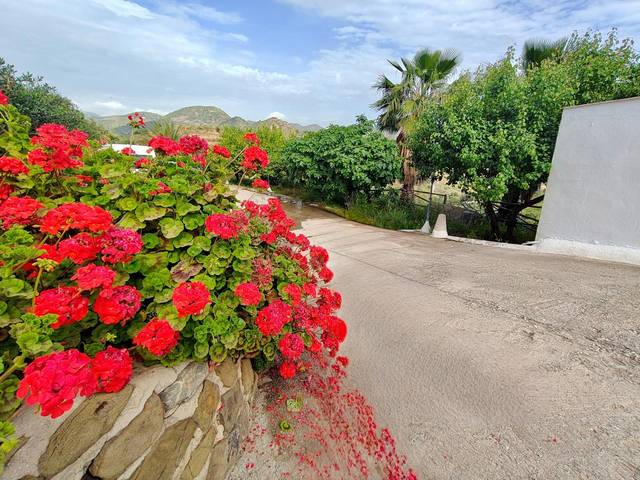 Finca rústica en Venta en Almogía