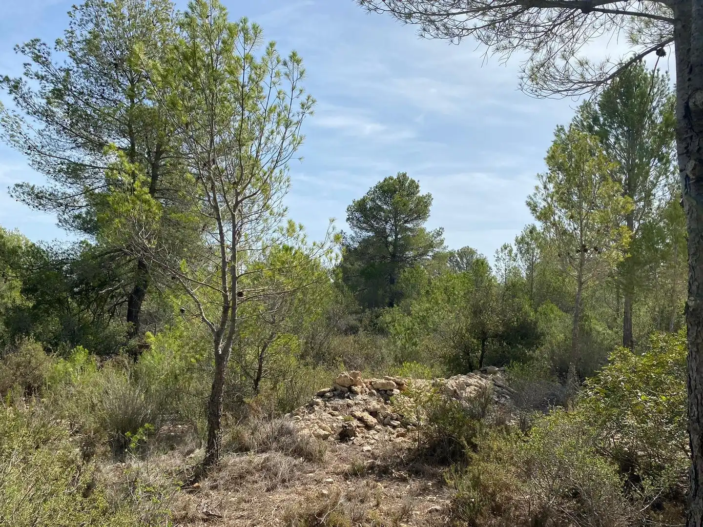 Country homes for sale in Chella