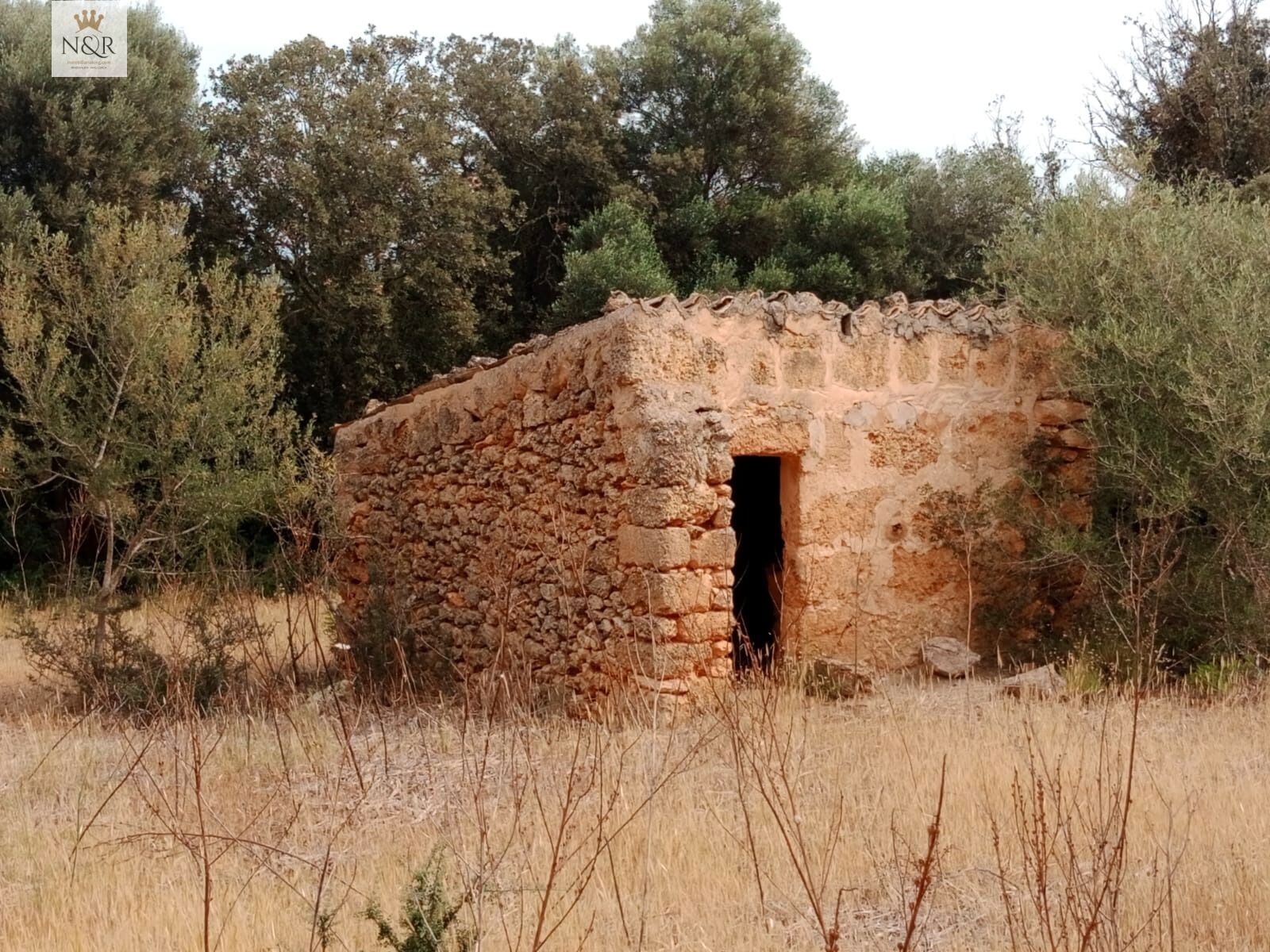 Finca rústica en venda a Centro