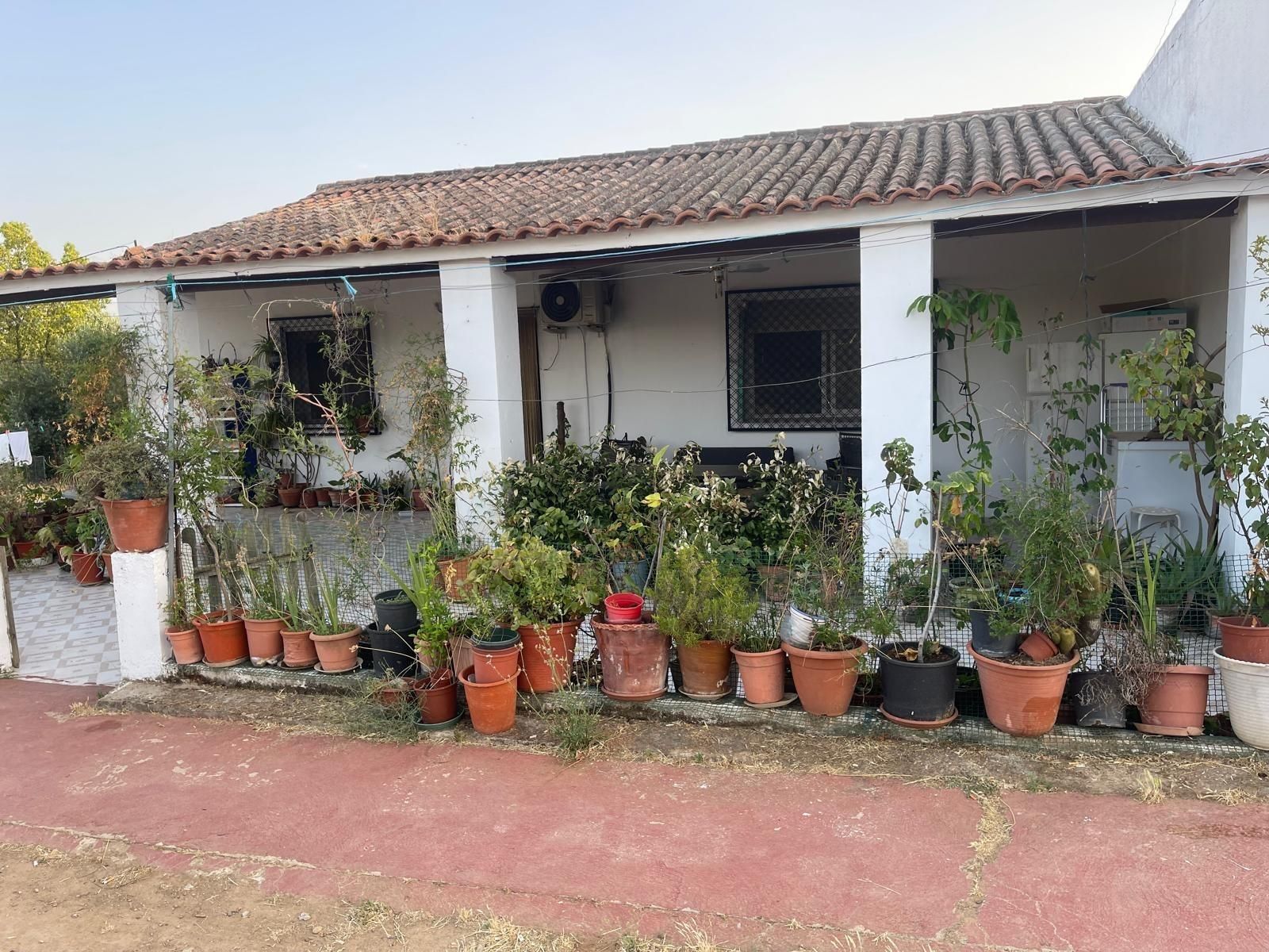 Exterior view of House or chalet for sale in Mérida  with Air Conditioner, Private garden and Terrace