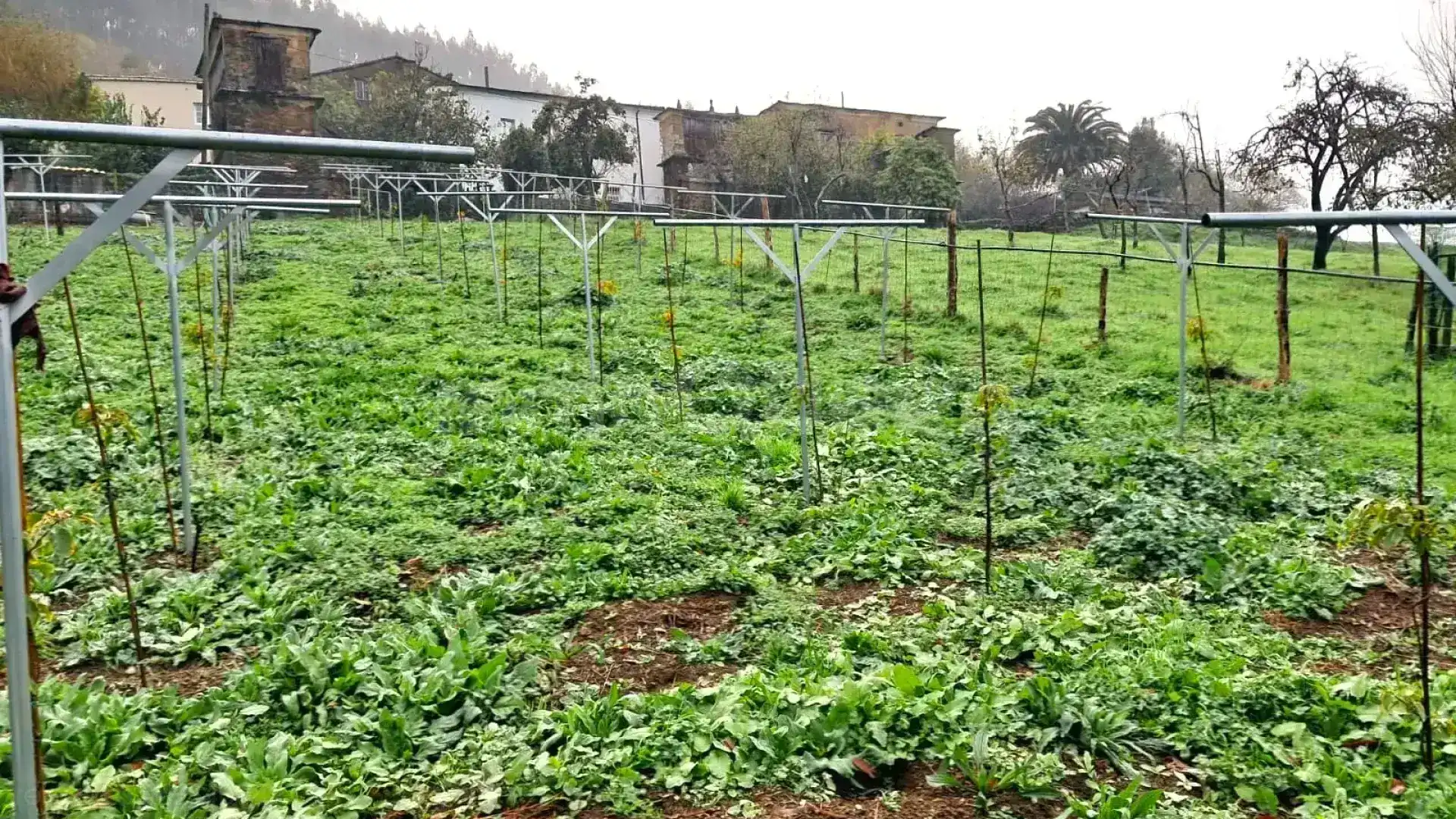 Jardín de Casa o chalet en venta en Riotorto con Calefacción, Jardín privado y Amueblado