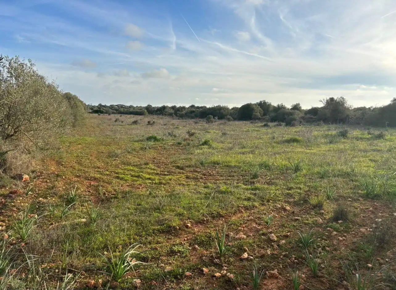 Terreny residencial en venda a Ses Salines Poble, imagen 6
