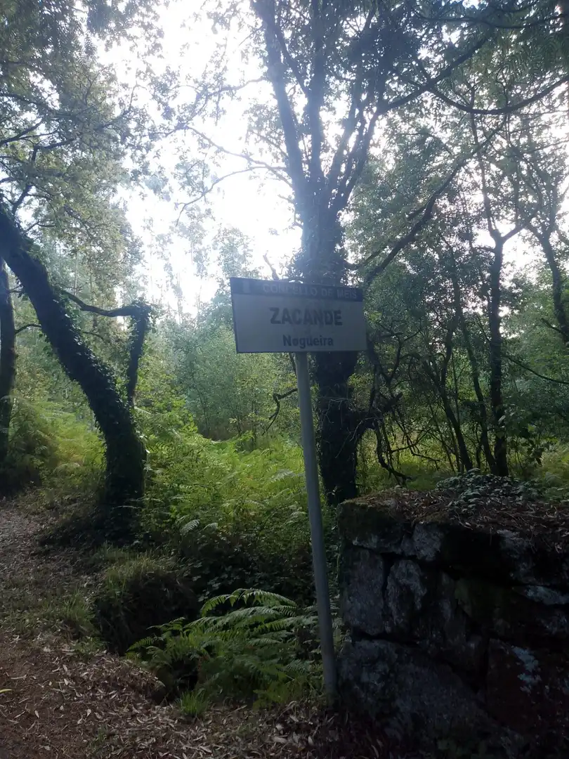 Terreno rustico in vendita a Meis, imagen 16