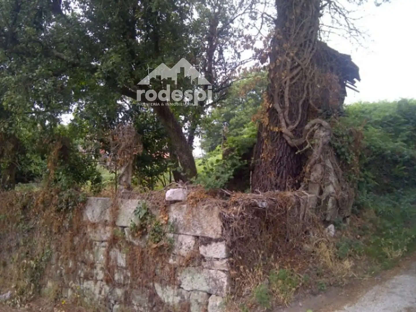 House for sale in Melón, imagen 8