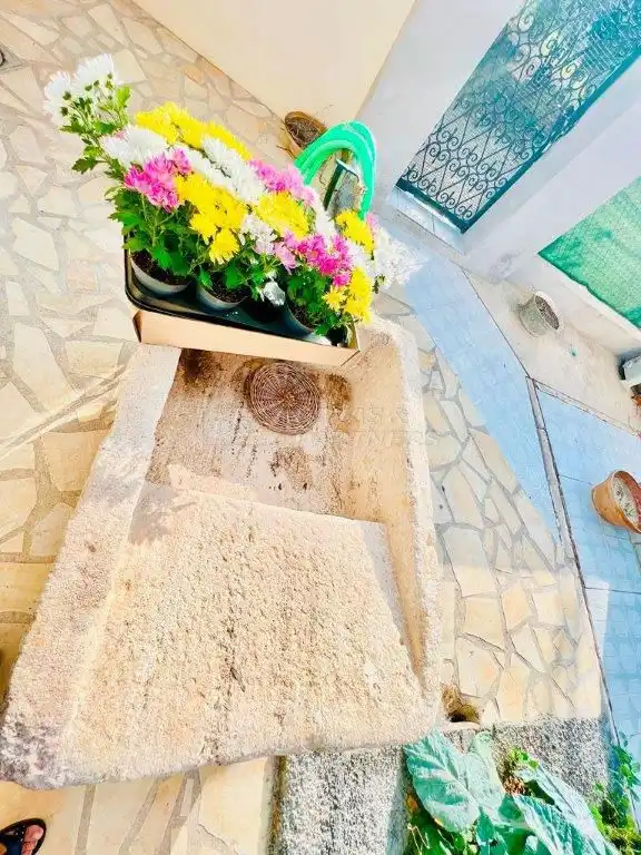 Casa amb jardí en venda a Palmeral V Bene, 22, imagen 56