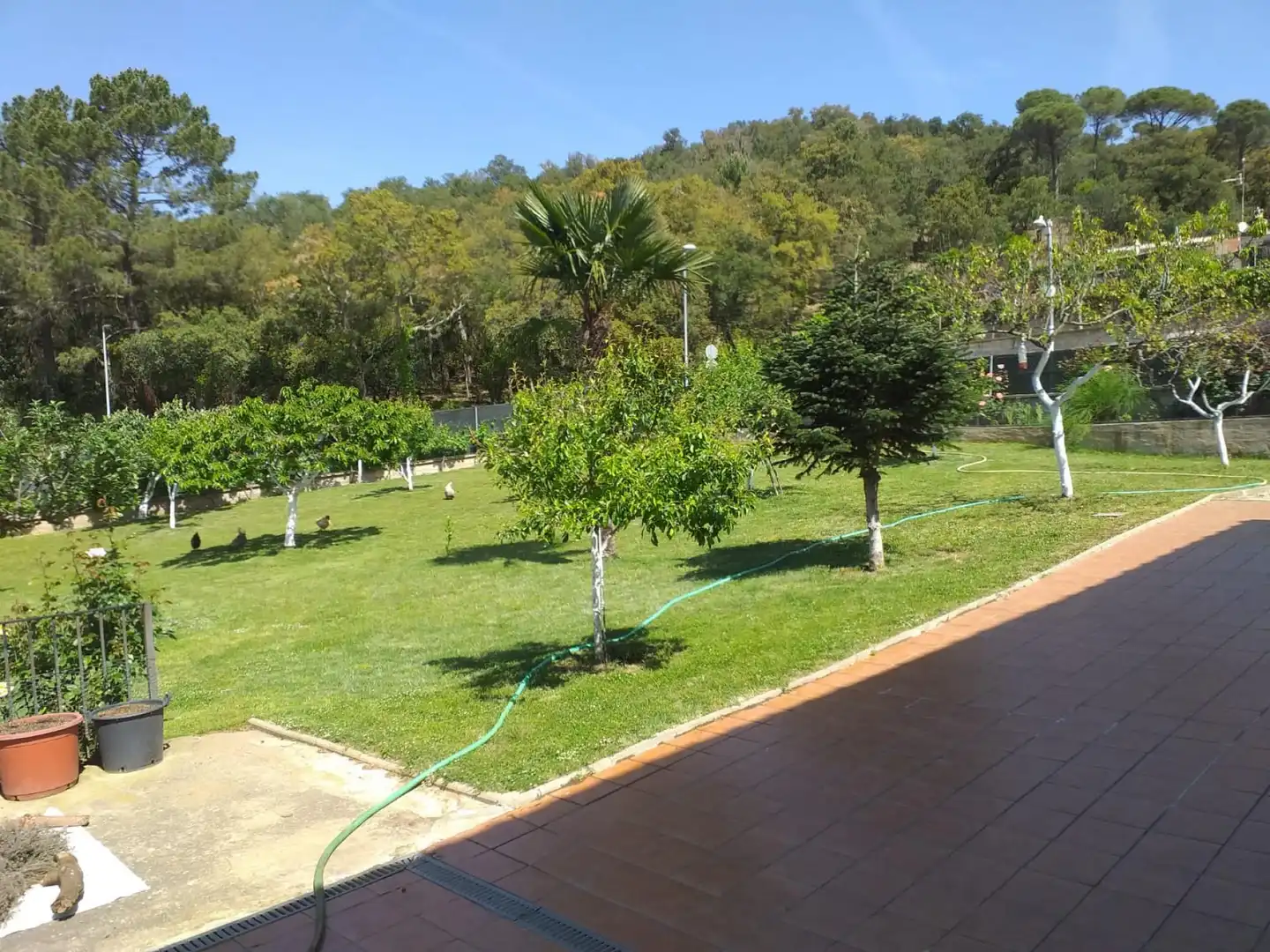 Villa mit Garten zum Verkauf in Sant Feliu de Buixalleu, imagen 2