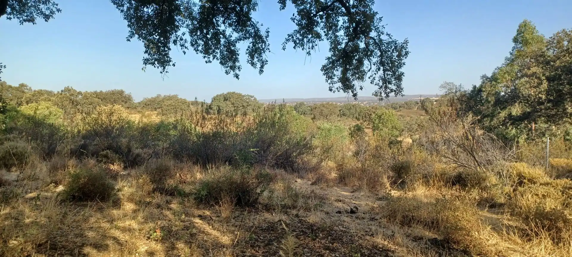 Terreni e lotti in vendita a Castilblanco de los Arroyos, imagen 4