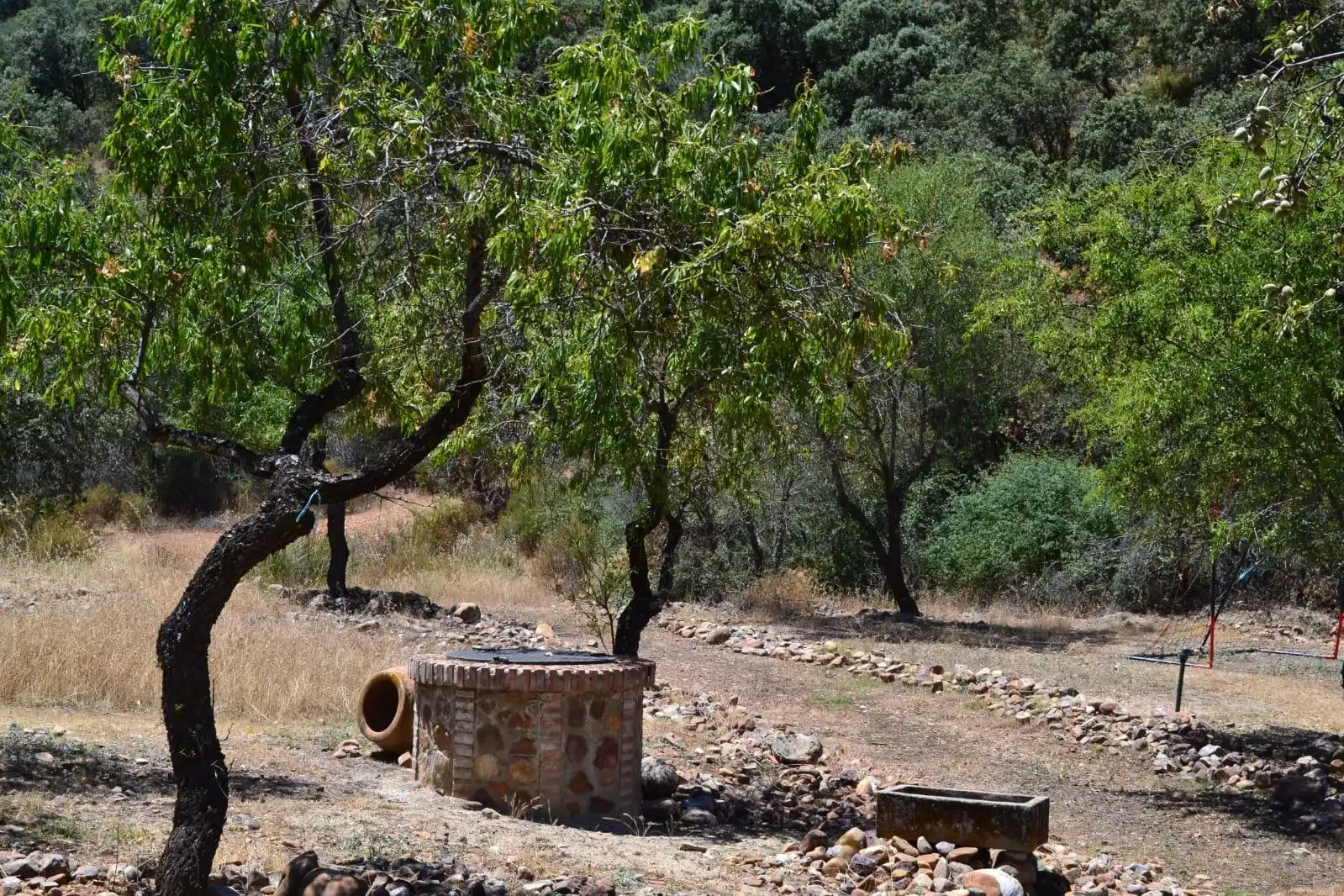 Finca rústica en venda a Belvís de la Jara