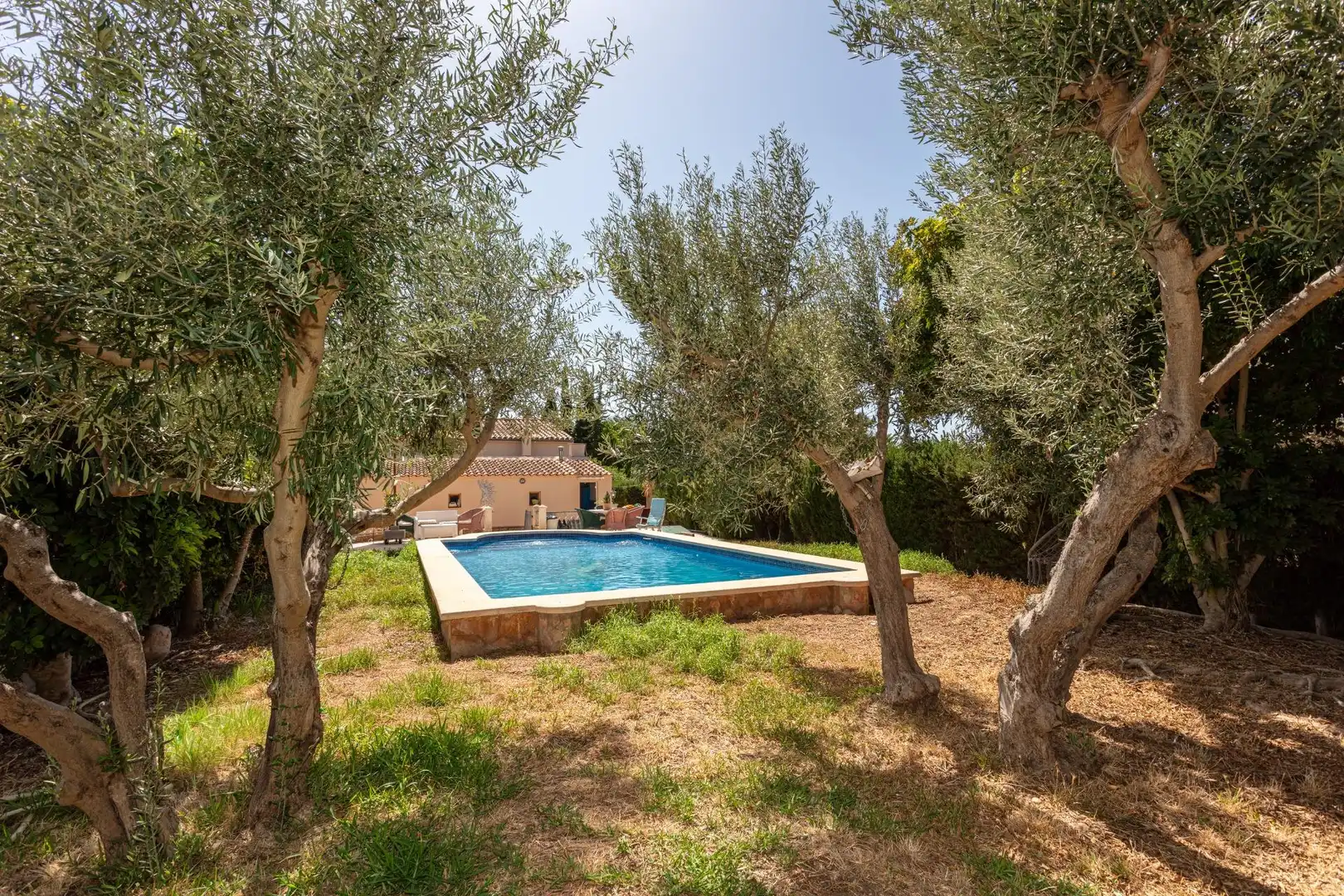 Piscina de Residencial en venta en Marratxí
