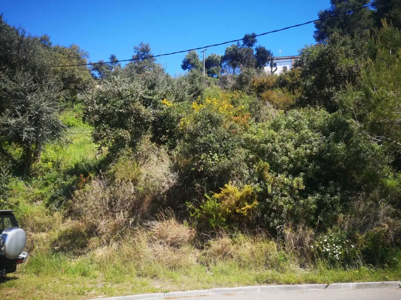 Rural land for sale in Palafolls, imagen 2