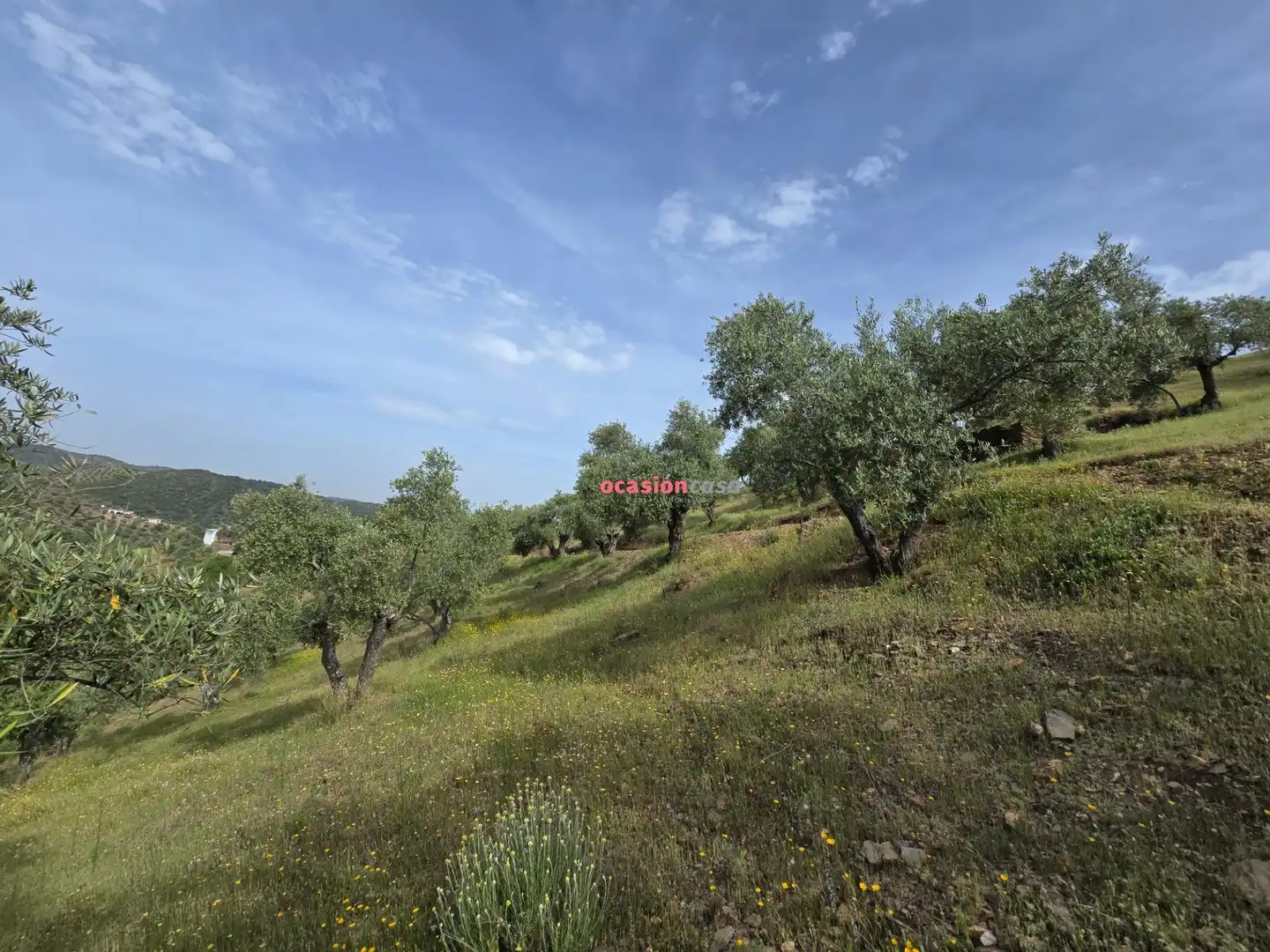 Finca rústica en venta en Pozoblanco